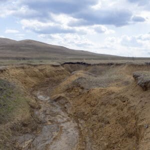 A dirt road with mud and grass on it