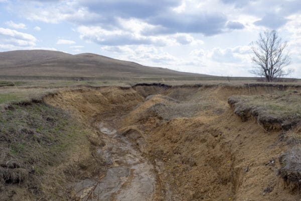 A dirt road with mud and grass on it